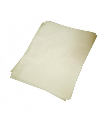 00001_5-feuilles-papier-nitre-hypercombustible-25cm-20cm.jpg